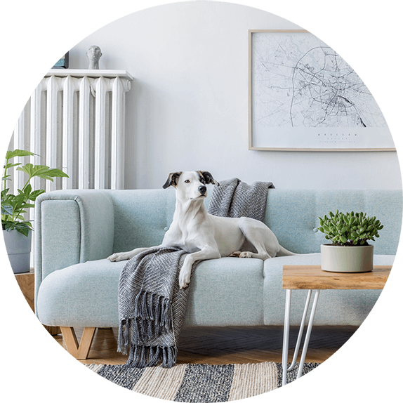 about-section4--image1