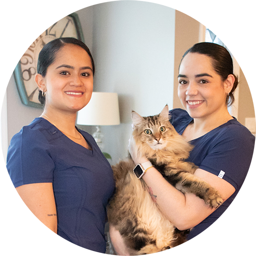 Every home is different, and we understand that. That's why we customize our cleaning services to the specific needs of your space and the presence of your pets, guaranteeing tailored results.
